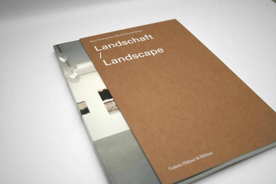 landschaft 01